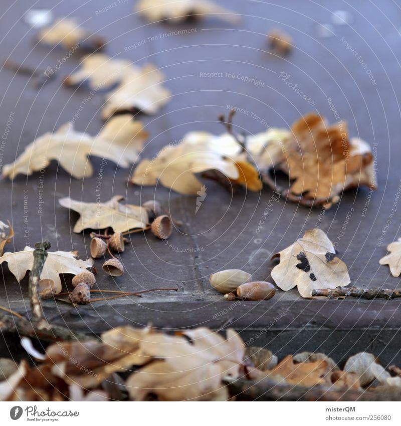 Herbsttag. Umwelt Natur Landschaft Pflanze Klima Klimawandel Schönes Wetter ästhetisch Herbstlaub herbstlich Herbstfärbung Herbstbeginn Herbstwetter Herbstwald