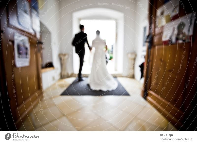 just married Hochzeit Religion & Glaube Kirche Ehe Braut Bräutigam Liebe Romantik Bund Kleid Anzug festlich Licht Ausgang Mann Frau verheiratet Zusammensein