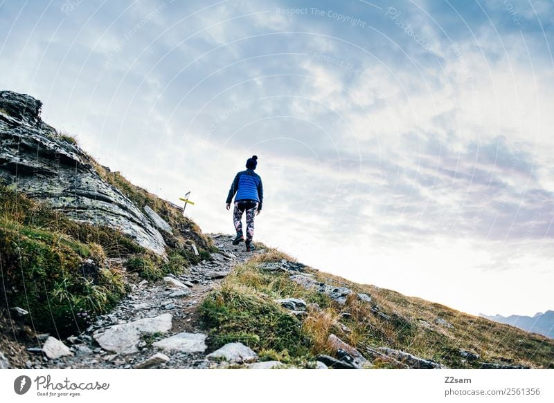 Aufstieg | Gipfel | Alpen | Wandern Ferien & Urlaub & Reisen Ausflug Abenteuer Berge u. Gebirge wandern Feste & Feiern Junge Frau Jugendliche Natur Landschaft