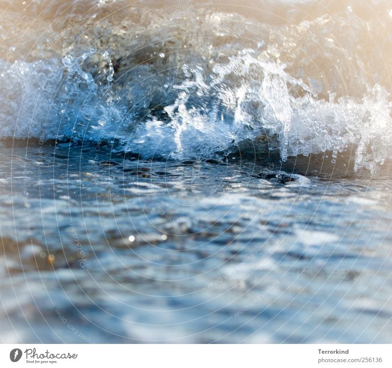 DieAlteKatzeUndDasMeer | Kater.wäsche Wasser Ostsee Wellen schwappen Schwimmen & Baden rollen aufprallen aufschlagen fallen zerspringen zerschlagen Zerstörung