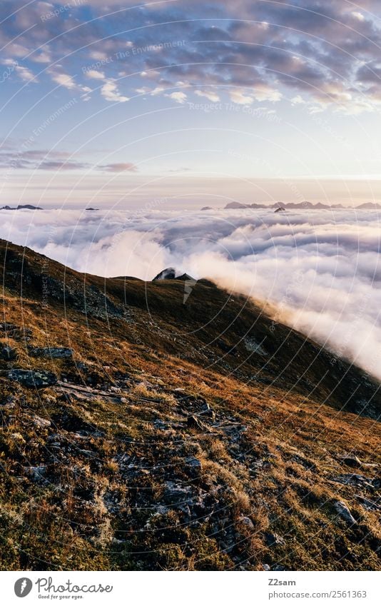 Sonnenaufgang im Pitztal Lifestyle Berge u. Gebirge wandern Feste & Feiern Umwelt Natur Landschaft Himmel Wolken Horizont Sonnenuntergang Sommer Schönes Wetter