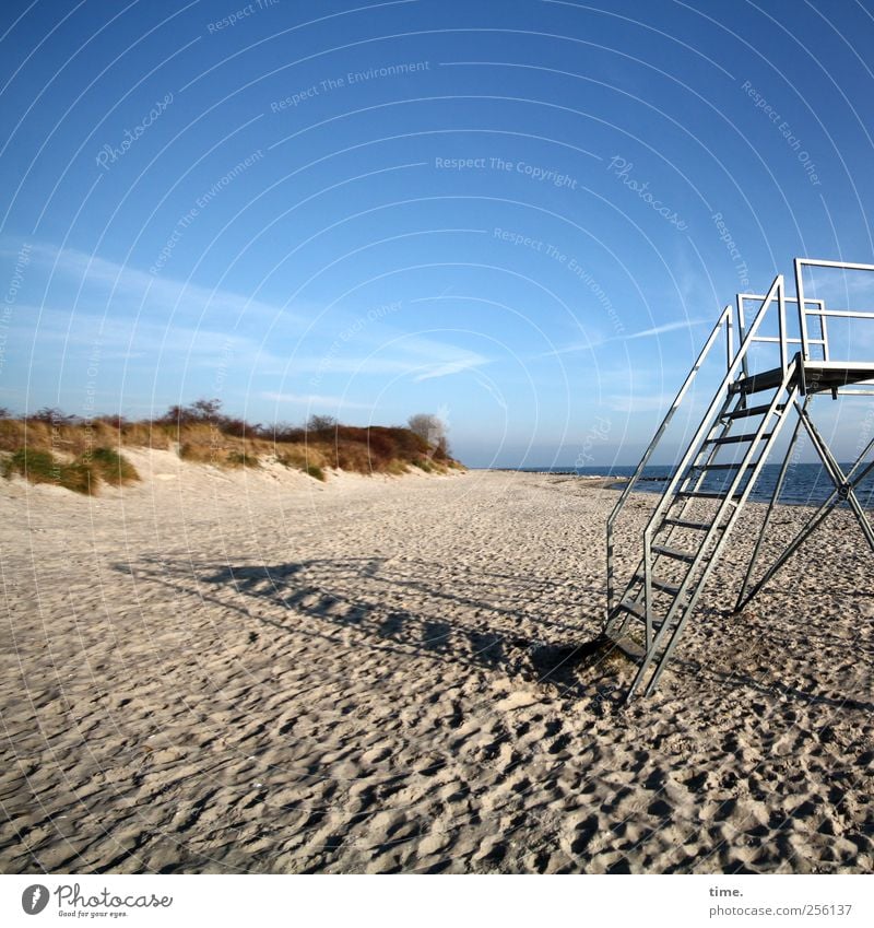 kurz mal weg paar Sterne pflücken Strand Sand Himmel Wolken Horizont Herbst Schönes Wetter Gras Küste Ostsee Treppe Metall Fußspur Abenteuer Beginn Einsamkeit