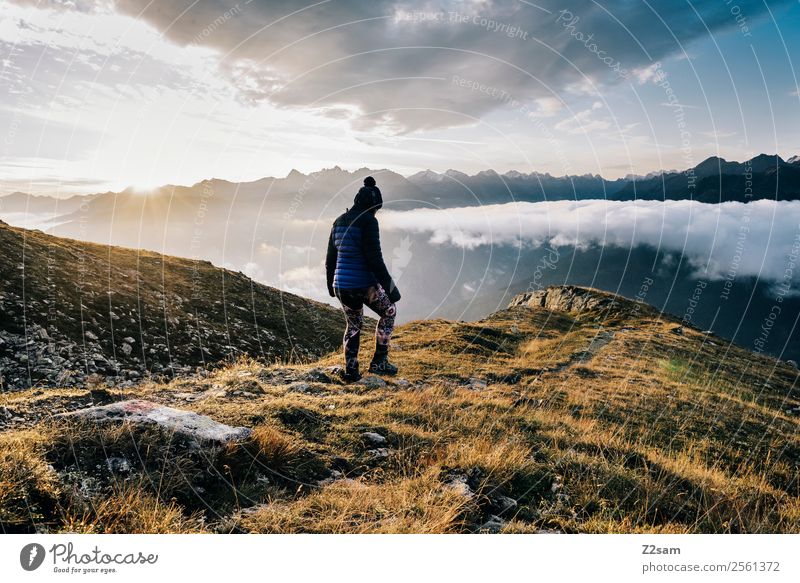 Sonnenaufgang | Wandern | Gipfel | Alpen Ferien & Urlaub & Reisen Ausflug Abenteuer Freiheit Sommerurlaub Berge u. Gebirge wandern Feste & Feiern Junge Frau