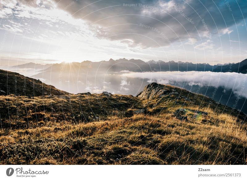 Venet | Gipfel | Sonnenaufgang | Alpen Berge u. Gebirge wandern Natur Landschaft Himmel Wolken Sonnenuntergang Sommer Schönes Wetter frisch gigantisch