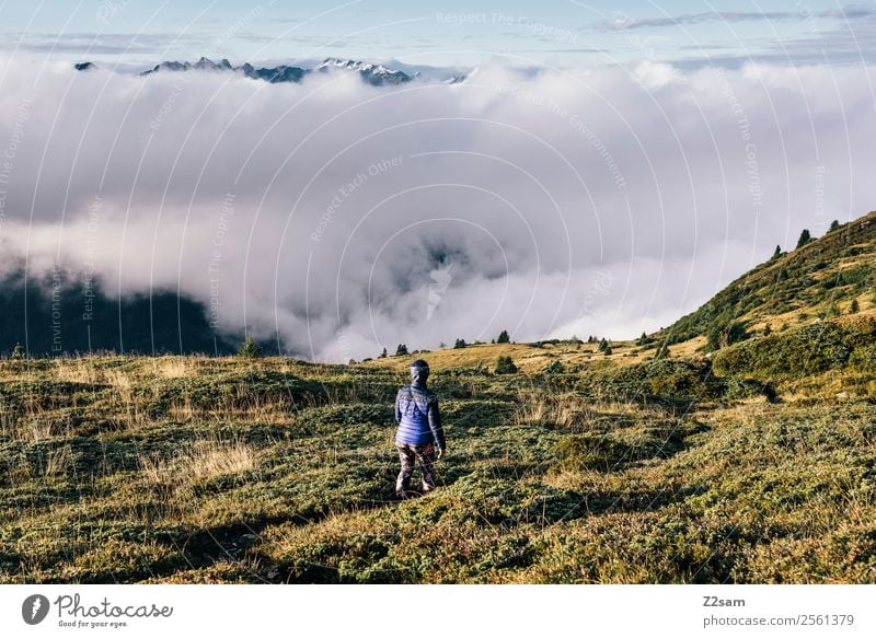 Wandern | Österreich | Über den Wolken Ferien & Urlaub & Reisen Abenteuer Freiheit Berge u. Gebirge wandern Junge Frau Jugendliche 30-45 Jahre Erwachsene Natur