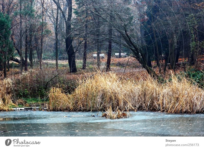 Antenne Angeln Jagd lesen Natur Landschaft Pflanze Luft Wasser Herbst Wetter Baum Gras Sträucher Moos Blatt Grünpflanze Garten Park Feld Wald Hügel See Fluss