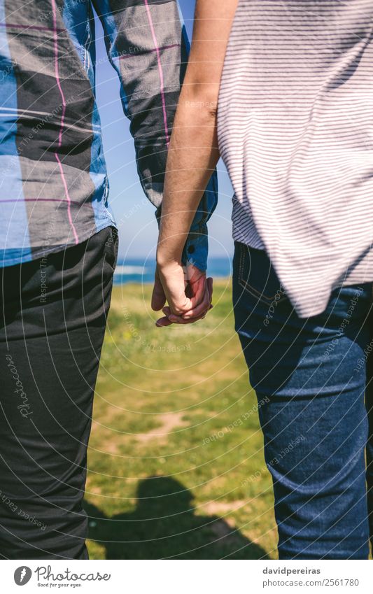 Nicht erkennbares Paar, das Händchen hält. Lifestyle Ferien & Urlaub & Reisen Abenteuer Meer Mensch Frau Erwachsene Mann Hand Natur Gras Wiese Küste Jeanshose