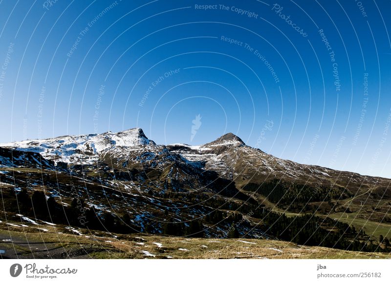 Laubernhornrücken harmonisch Tourismus Ausflug Schnee Berge u. Gebirge wandern Skigebiet Natur Landschaft Wolkenloser Himmel Herbst Schönes Wetter Tanne Wiese