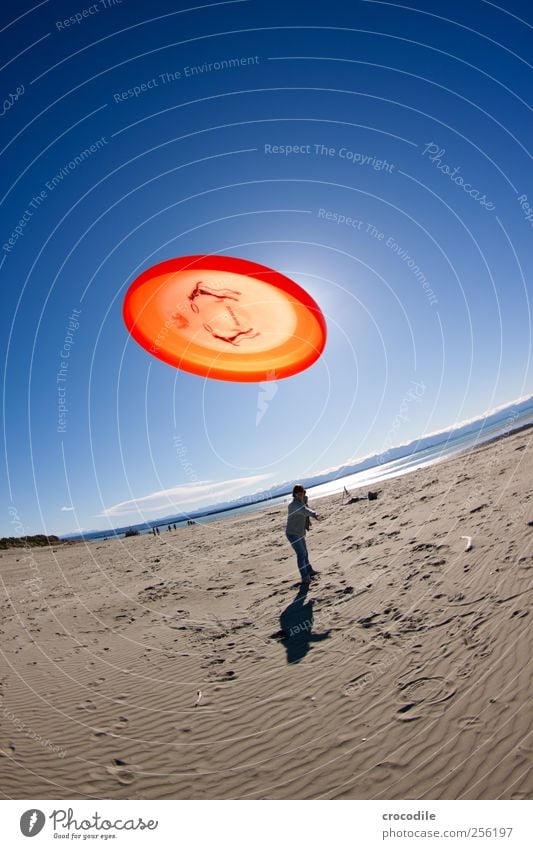 Fang!!! Stil Ferien & Urlaub & Reisen Tourismus Freiheit Sommer Sonne Mensch 1 Umwelt Natur Landschaft Küste Strand Hund werfen Kraft Freude Frisbee Farbfoto