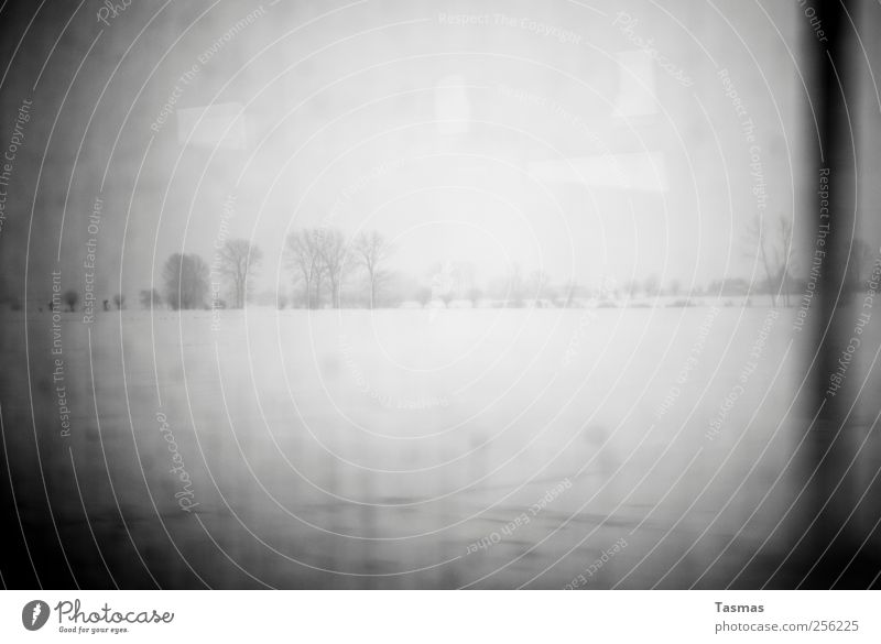 Fade To Black Landschaft schlechtes Wetter Schnee Wiese Feld kalt Heimweh Fernweh Einsamkeit Endzeitstimmung Schwarzweißfoto Menschenleer Licht Schatten