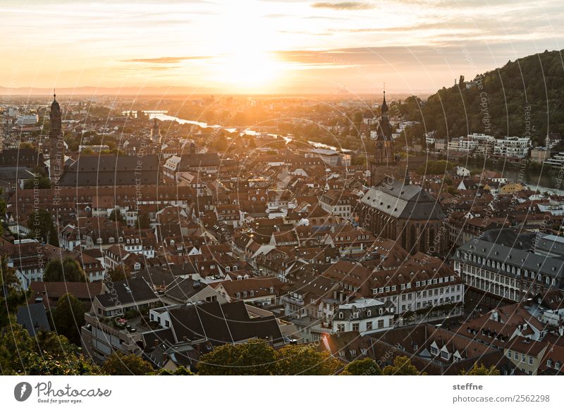 Aussicht auf die Altstadt von Heidelberg bei Sonnenuntergang Himmel Sonnenaufgang Sonnenlicht Sommer Schönes Wetter Kirche Idylle Romantik Religion & Glaube