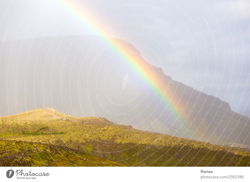 Regenbogen auf Island III / IV Ferien & Urlaub & Reisen Tourismus Ausflug Abenteuer Ferne Freiheit Umwelt Natur Landschaft Urelemente Luft Wassertropfen