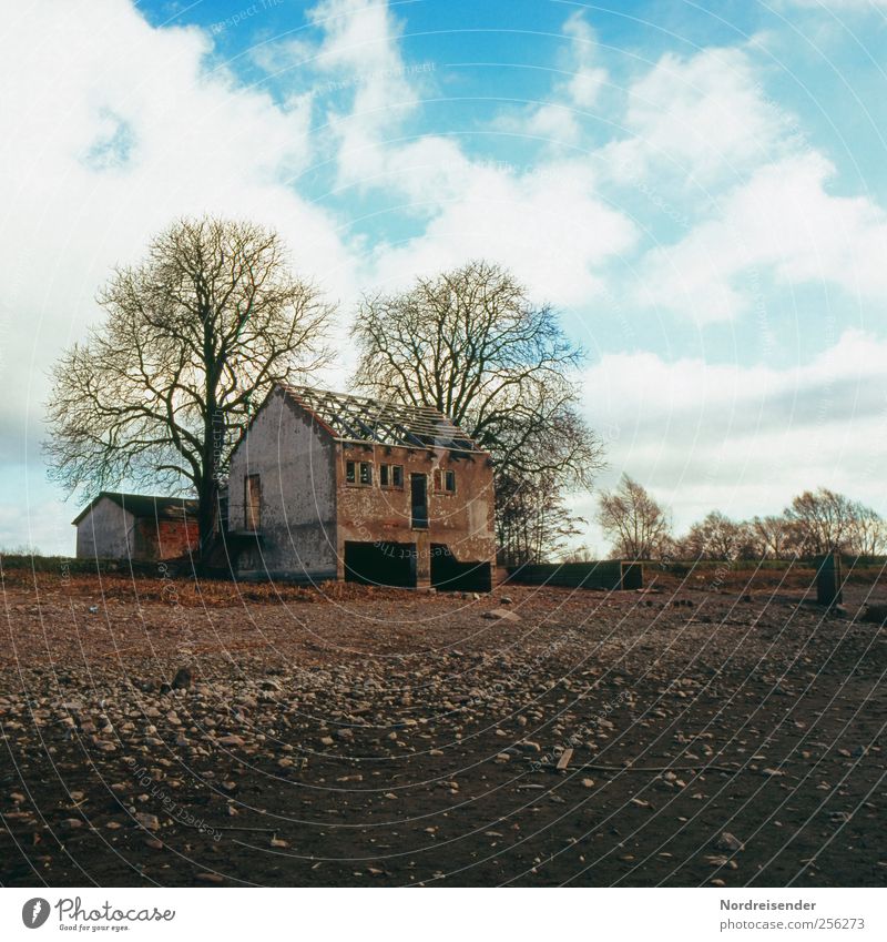 Danach... Haus Umwelt Natur Landschaft Himmel Wolken Herbst Klima Baum Ruine Bauwerk Gebäude kaputt Verfall Vergänglichkeit Farbfoto Außenaufnahme Menschenleer