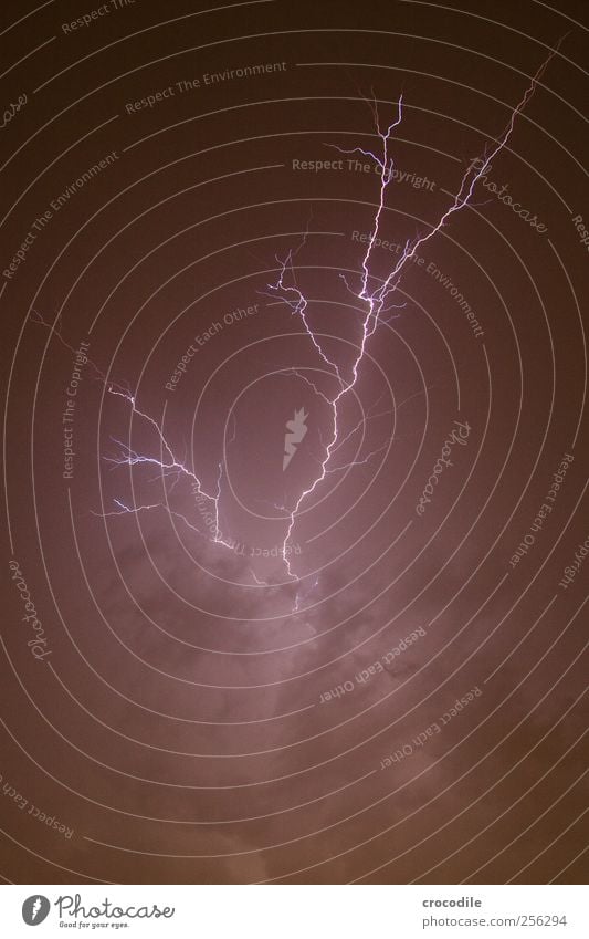 Blitz Umwelt Natur schlechtes Wetter Unwetter Sturm Gewitter Blitze außergewöhnlich dunkel gigantisch stark Kraft Angst Entsetzen gefährlich Stress Beginn