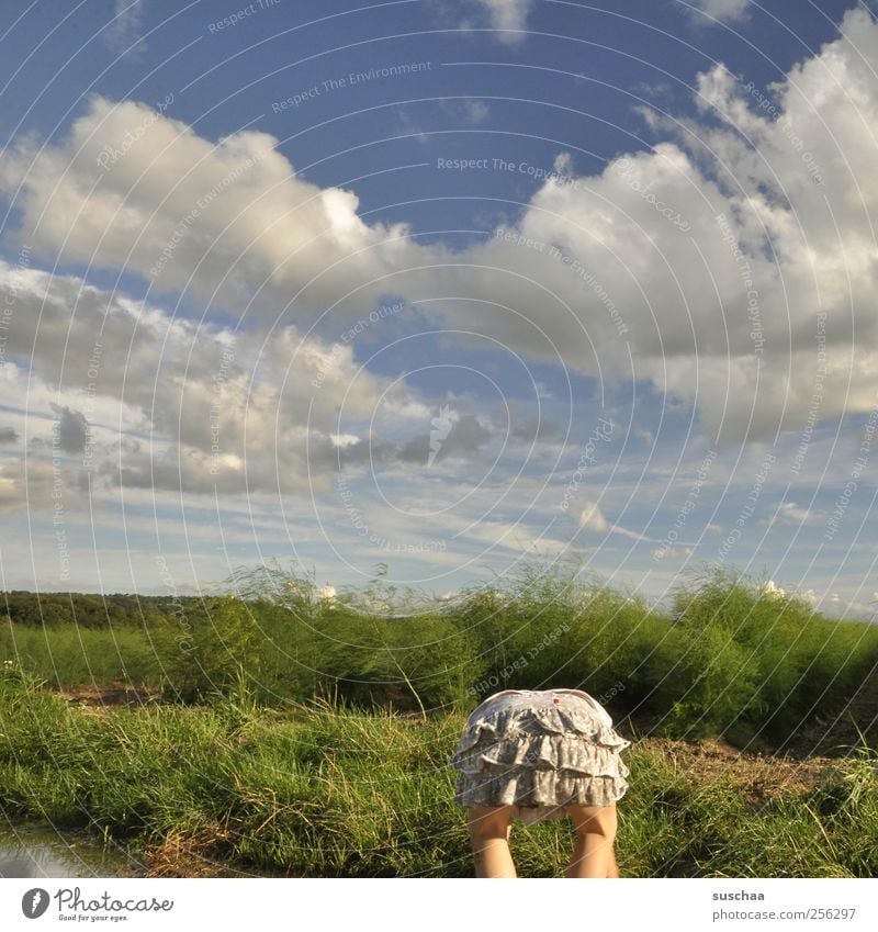 alle meine entchen ... Kind Mädchen Gesäß 1 Mensch 3-8 Jahre Kindheit Umwelt Natur Landschaft Himmel Wolken Sommer Klima Schönes Wetter Gras Sträucher Feld Rock