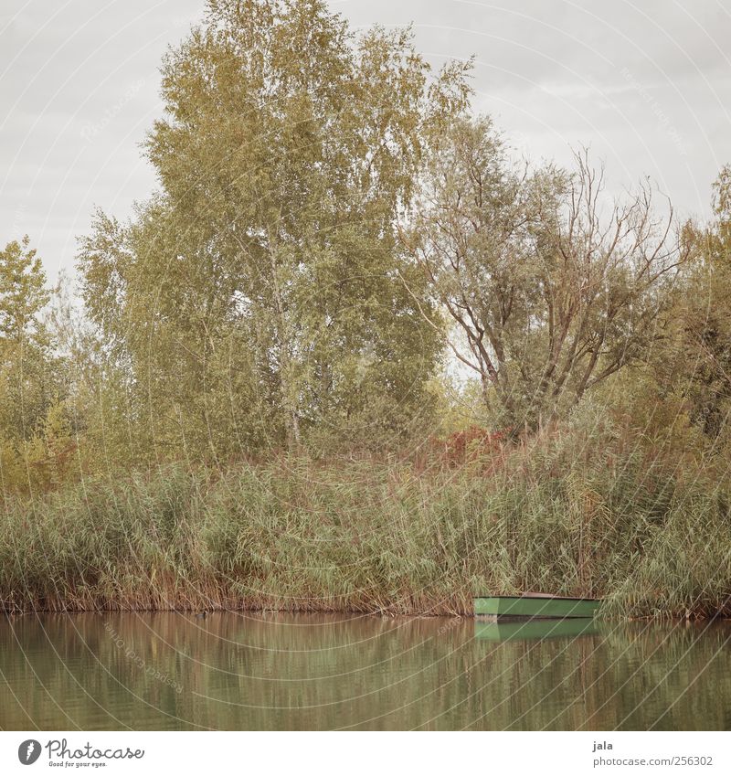 spätsommer Umwelt Natur Pflanze Himmel Sommer Herbst Baum Gras Sträucher See natürlich blau gelb grün Steg Farbfoto Außenaufnahme Menschenleer Tag