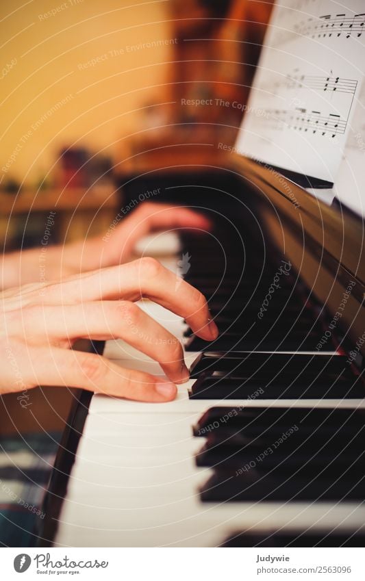 Nahaufnahme der Hände einer Person, die Klavier spielt Klavier spielen Klavierunterricht Klaviertastatur Klaviertasten Musik musik machen musizieren Klassik