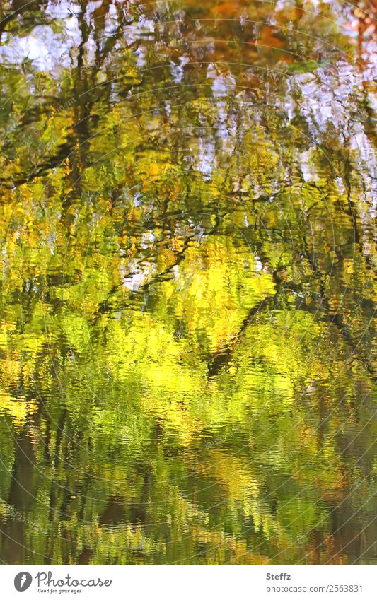 herbstliche Impression Teich Wasserspiegelung Wasseroberfläche Reflexion & Spiegelung gespiegelt Spiegelung im Wasser Oktober verschwommen verwaschen