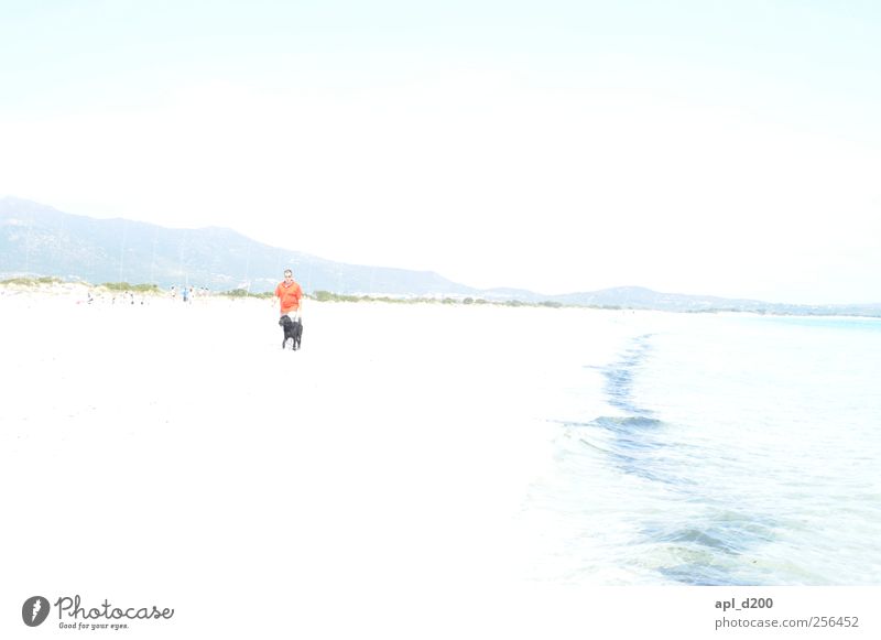 Mann. Strand. Hund. Freizeit & Hobby Ferien & Urlaub & Reisen Sommer Sommerurlaub Sonne Meer Mensch Erwachsene 1 Haustier Tier gehen heiß hell blau rot weiß