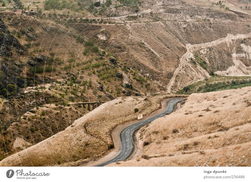 Golan Heights-Israel Umwelt Natur Landschaft Urelemente Sommer Herbst Gras Hügel Berge u. Gebirge Naher und Mittlerer Osten Brücke Straße Wege & Pfade