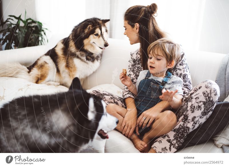 Mutter und Sohn genießen die Zeit mit ihrem Husky zu Hause. Lifestyle Glück schön Sofa Kind Mensch Junge Frau Erwachsene Familie & Verwandtschaft Haustier Hund