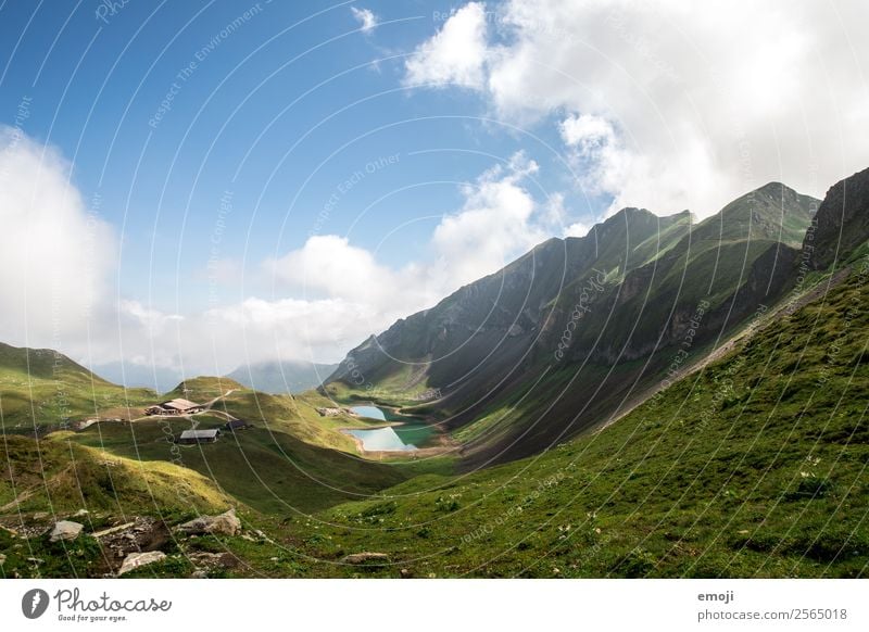 Eisee Umwelt Natur Landschaft Himmel Sommer Schönes Wetter Wiese Alpen Berge u. Gebirge See natürlich blau grün Gebirgssee eisee Schweiz Brienzer Rothorn