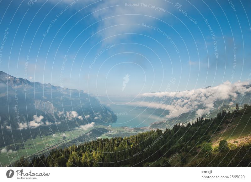 Brienzersee Umwelt Natur Landschaft Himmel Herbst Schönes Wetter See natürlich blau Schweiz Tourismus Ferien & Urlaub & Reisen Wandertag Farbfoto mehrfarbig