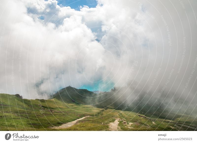 Brienzersee Umwelt Natur Landschaft Himmel Wolken Sommer Herbst Klima Wetter Alpen Berge u. Gebirge natürlich grün Tourismus Schweiz Wandertag Wanderausflug