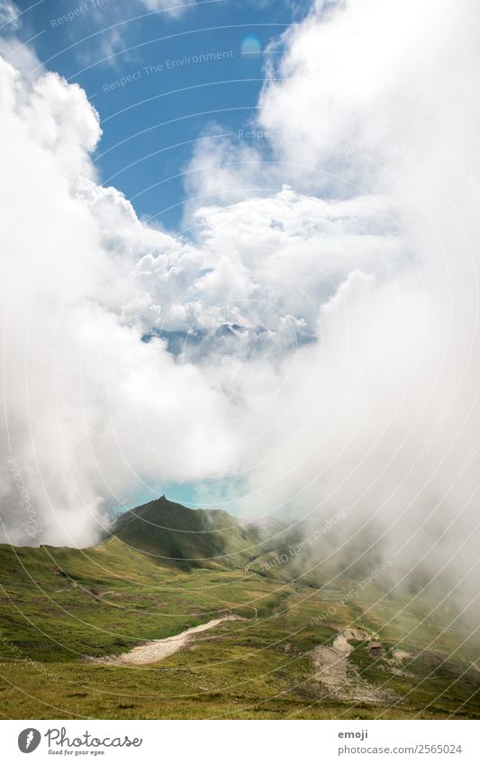 Brienzersee Umwelt Natur Landschaft Himmel Wolken Sommer Herbst Klima Wetter Alpen Berge u. Gebirge natürlich grün Tourismus Schweiz Wandertag Wanderausflug