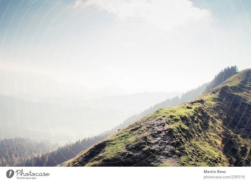 Oben Natur Landschaft Himmel Wald Hügel Felsen Berge u. Gebirge Wege & Pfade Bergkamm gehen wandern Ferne Unendlichkeit hoch Farbfoto Außenaufnahme Menschenleer