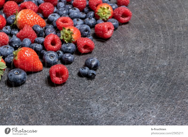 Leckere Naschbeeren Lebensmittel Frucht Bioprodukte Vegetarische Ernährung Slowfood Fingerfood Gesunde Ernährung Stein wählen Essen frisch Gesundheit genießen