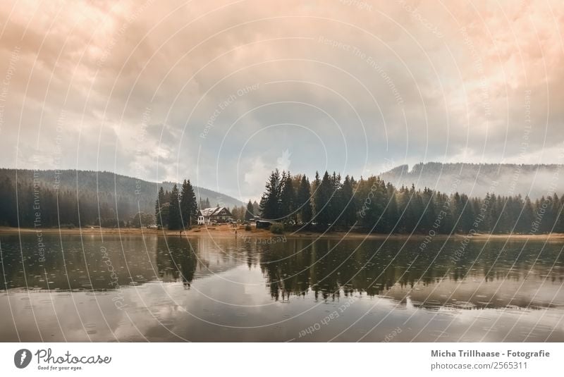 Herbststimmung am See Natur Landschaft Wasser Himmel Wolken Sonnenlicht Regen Baum Wald Hügel Berge u. Gebirge Lütschetalsperre leuchten natürlich blau grün