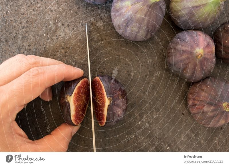 Eine Feige aufschneiden Lebensmittel Frucht Vegetarische Ernährung Slowfood Messer Gesunde Ernährung Mann Erwachsene Hand Finger 30-45 Jahre Stein festhalten