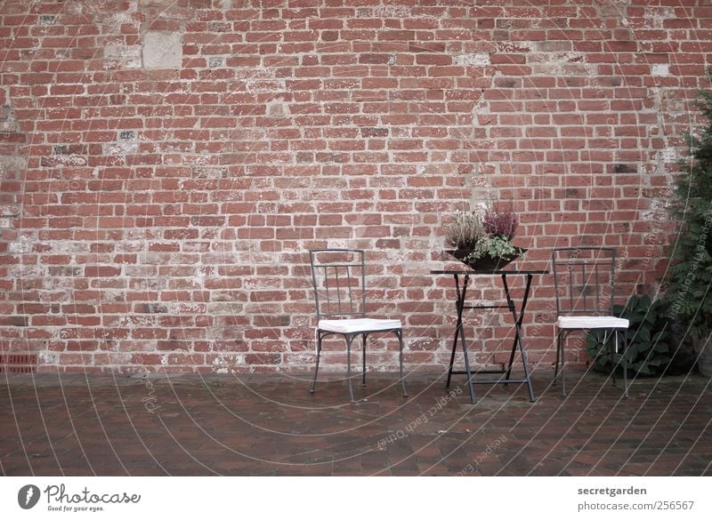 schöner wohnen. Ferien & Urlaub & Reisen Häusliches Leben Gartenarbeit Natur Herbst Sträucher Gebäude Mauer Wand Fassade Balkon Terrasse Duft Erholung braun rot