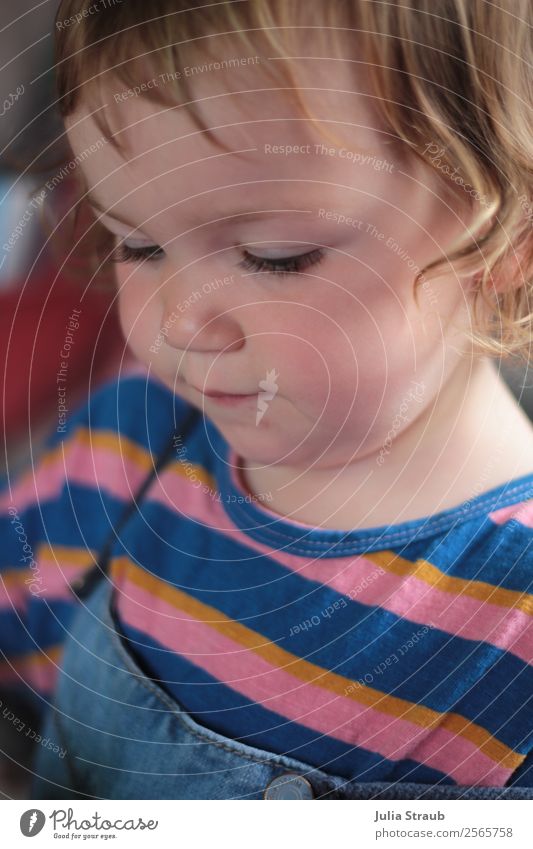 Kleinkind Mädchen gestreift feminin 1 Mensch 1-3 Jahre T-Shirt Jeanshose brünett blond Locken beobachten sitzen schön mehrfarbig friedlich Wachsamkeit Kindheit