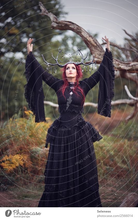 There should be more Fridays! Mensch feminin Frau Erwachsene 1 Herbst Wald Kleid Accessoire Schmuck Romantik beschwören Horn Geäst Spitze Gothic