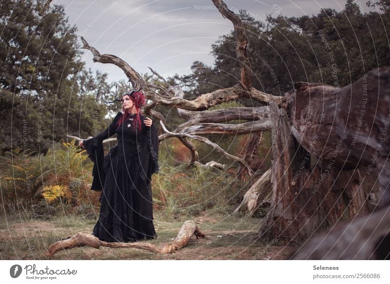 . Mensch feminin Frau Erwachsene 1 Umwelt Natur Herbst Geäst Wald Kleid rothaarig langhaarig Blitzschlag Märchen Märchenwald Romantik Gothic Farbfoto