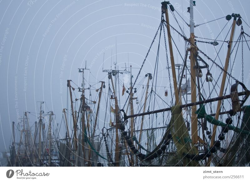 krabbenkutter im nebel Winter Nebel Eis Frost Nordsee Fischerdorf Schifffahrt Fischerboot Hafen warten dunkel blau gelb grau Stimmung Idylle Traurigkeit