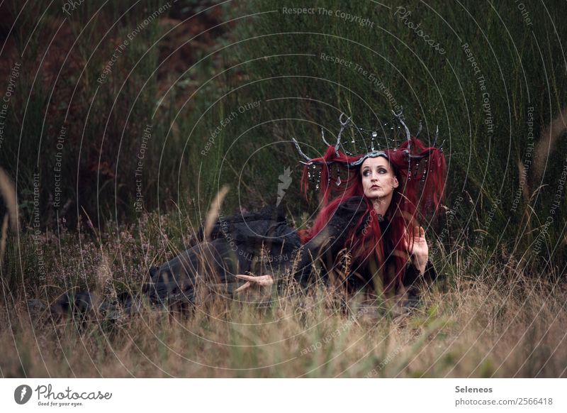 Oh, ein Reh. Mensch feminin Frau Erwachsene 1 Umwelt Natur Herbst Sträucher Wiese Feld Kopfschmuck Haare & Frisuren rothaarig langhaarig fantastisch Märchen