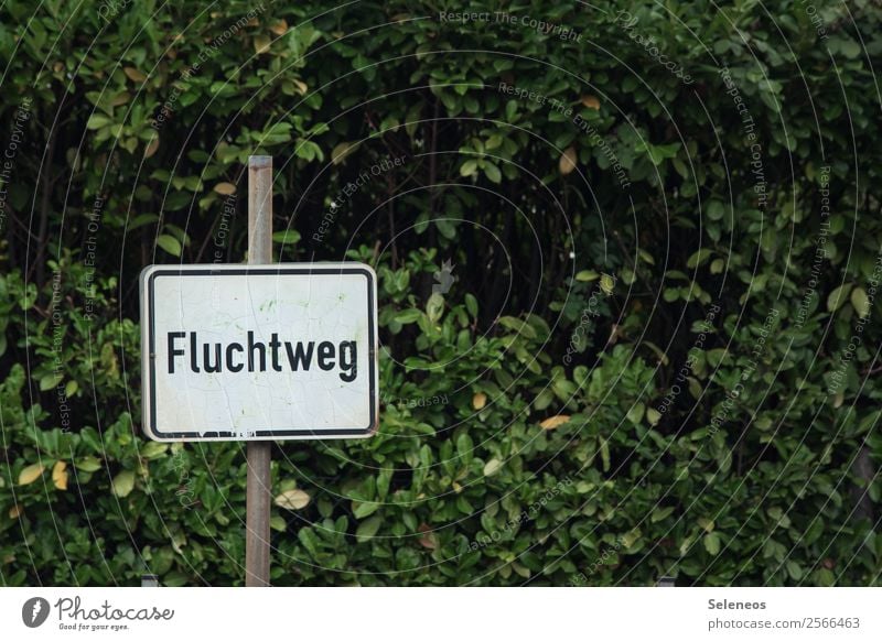 oder auch Freitag Abenteuer Sommer Umwelt Natur Sträucher Zeichen Schriftzeichen Schilder & Markierungen Hinweisschild Warnschild Verkehrszeichen frei Sorge