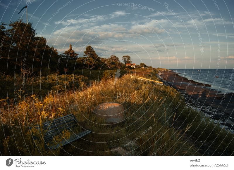 Sitzecke Umwelt Natur Landschaft Pflanze Himmel Wolken Horizont Klima Wetter Schönes Wetter Wärme Baum Gras Sträucher Blatt Wildpflanze Strand Meer Ostsee