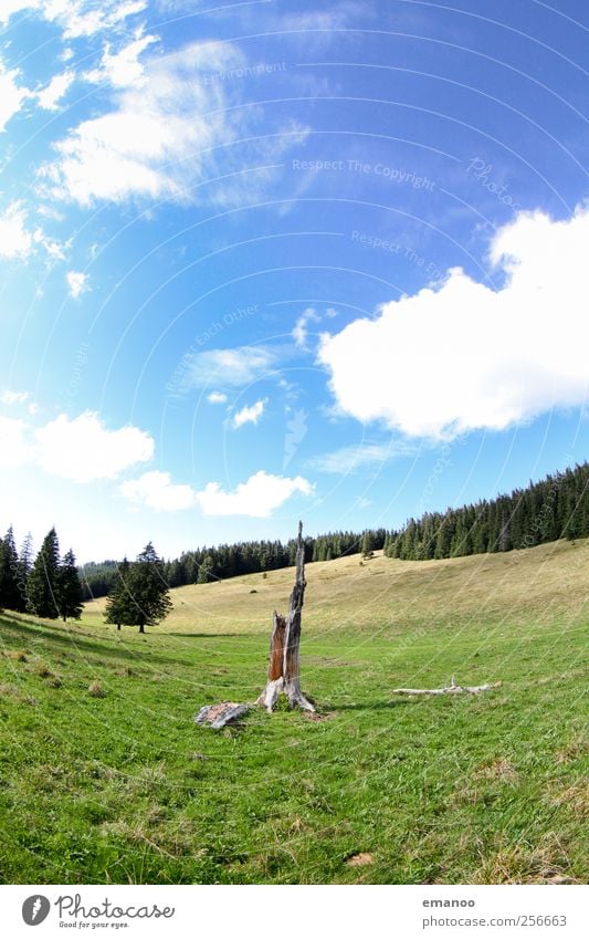 Hüttenwasen Ferien & Urlaub & Reisen Ausflug Sommer Berge u. Gebirge wandern Umwelt Natur Landschaft Pflanze Luft Himmel Klima Wetter Baum Gras Wiese Feld Wald