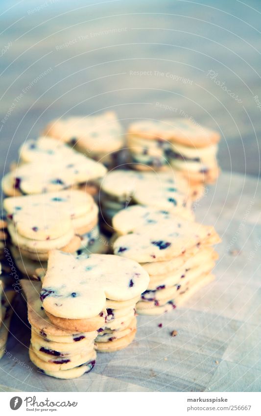 weihnachts plätzchen cookies mit cranberry Lebensmittel Getreide Teigwaren Backwaren Dessert Süßwaren Ernährung Festessen Bioprodukte Vegetarische Ernährung