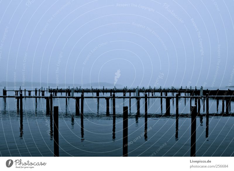 Naturhafen auf Rügen Landschaft Herbst Nebel Strand Hafen Jachthafen Holz Wasser grau Nebelstimmung Farbfoto Außenaufnahme Tag Froschperspektive Blick nach vorn