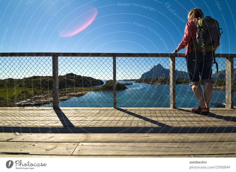 Tina in Storvågan Felsen Ferien & Urlaub & Reisen Fjord Hafen Himmel Himmel (Jenseits) Horizont Insel Landschaft Lofoten maritim Meer Natur Norwegen