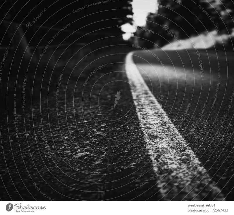 der Weg Natur Landschaft Wald Verkehr Straße Wege & Pfade Autobahn Beton Denken Zukunft unklar verschwommen Asphalt Weg nach vorne weitergeben Tor melancholisch