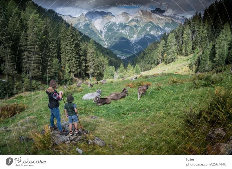 Hirten Abenteuer Ferne Freiheit Sommer Berge u. Gebirge wandern Landwirtschaft Forstwirtschaft Umwelt Natur Landschaft Wolken Klima Klimawandel Wetter Hügel