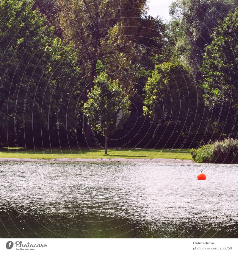 Will wieder Sommer Angeln Ferien & Urlaub & Reisen Sommerurlaub Umwelt Natur Landschaft Wasser Frühling Klima Schönes Wetter Wiese Feld Wald Seeufer Teich