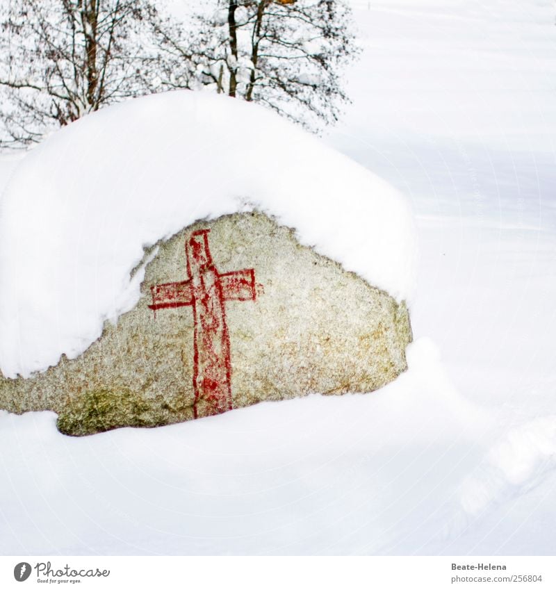 Der Herbst ist tot - es lebe der Winter! Schnee wandern Natur Landschaft Schönes Wetter Eis Frost Park Stein Zeichen Graffiti Kreuz schlafen Sauberkeit grau rot