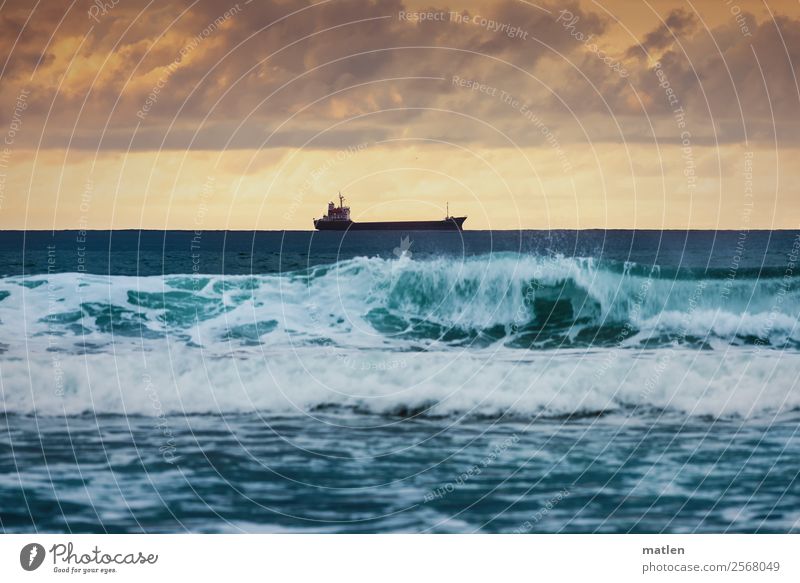 Ein Schiff wird kommen Natur Wasser Himmel Wolken Gewitterwolken Horizont Sonnenaufgang Sonnenuntergang Sommer Meer Schifffahrt Containerschiff dunkel blau